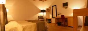 Standard double with queen bed, private facilities (shower), and breakfast